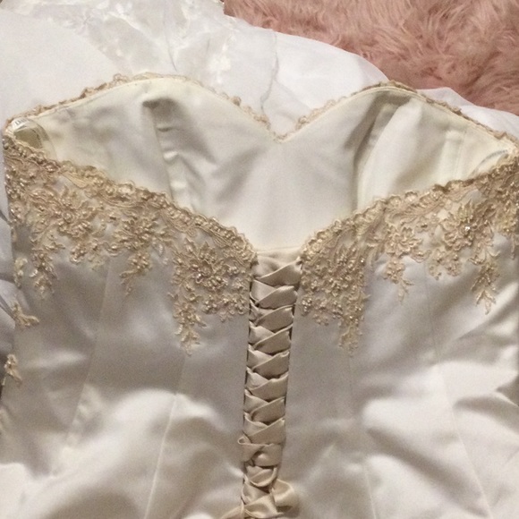 David’s Bridal Ivory & Champagne with lace and sequins 16w - Picture 10 of 13